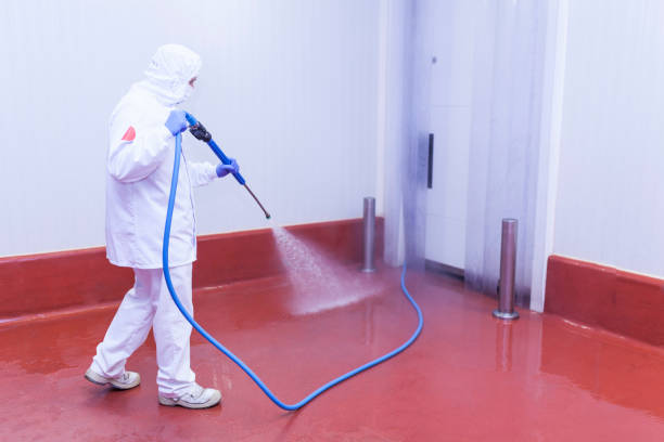 Best Sidewalk and Walkway Cleaning  in Toftrees, PA